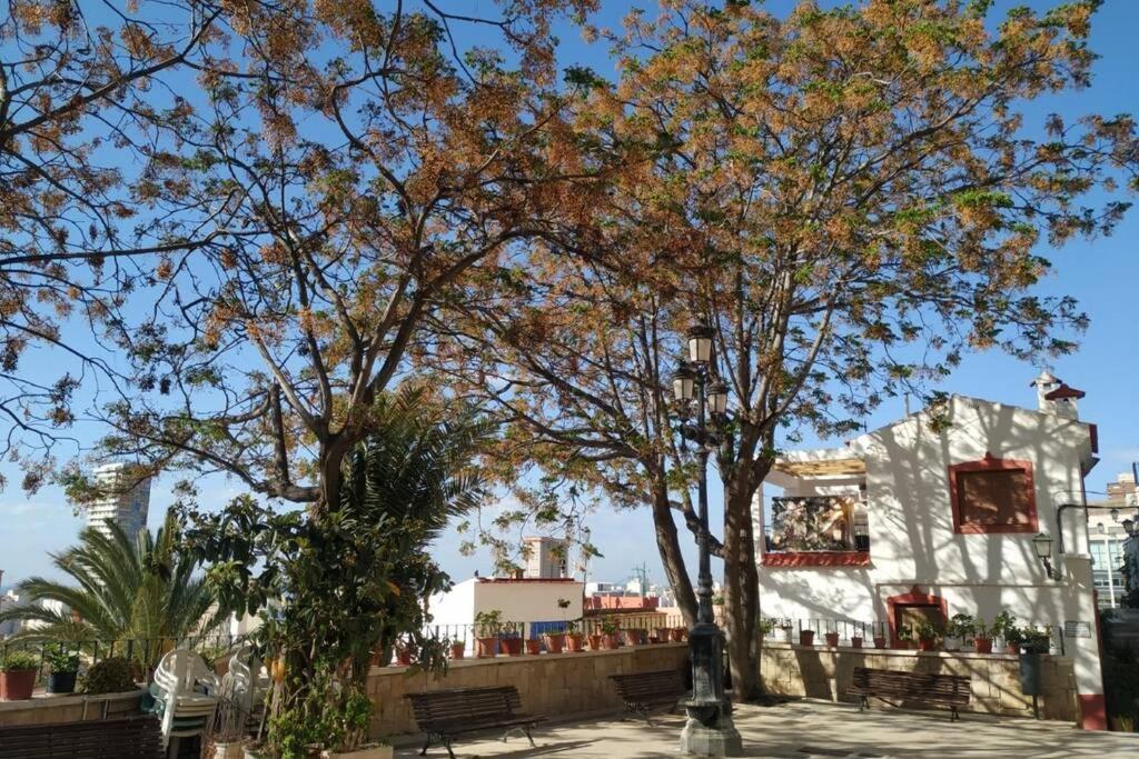 San Antonio villa Alicante Esterno foto